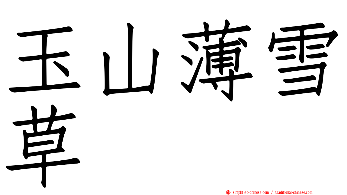 玉山薄雪草