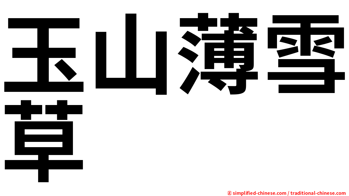 玉山薄雪草