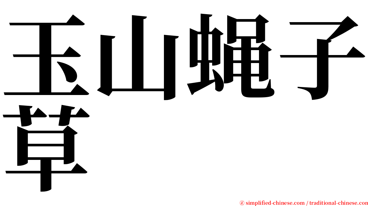 玉山蝇子草 serif font