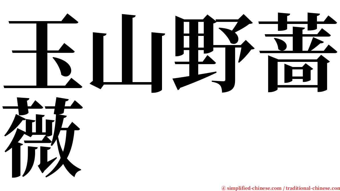 玉山野蔷薇 serif font