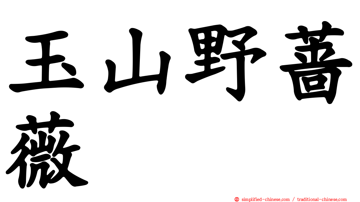 玉山野蔷薇