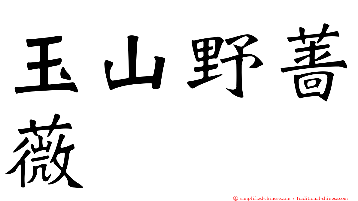 玉山野蔷薇