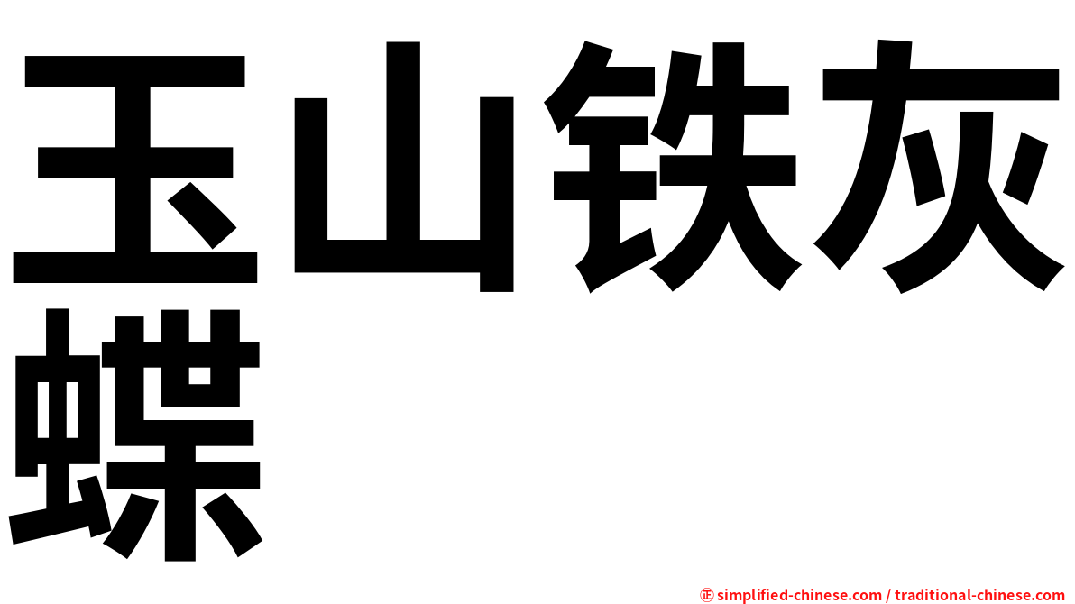 玉山铁灰蝶