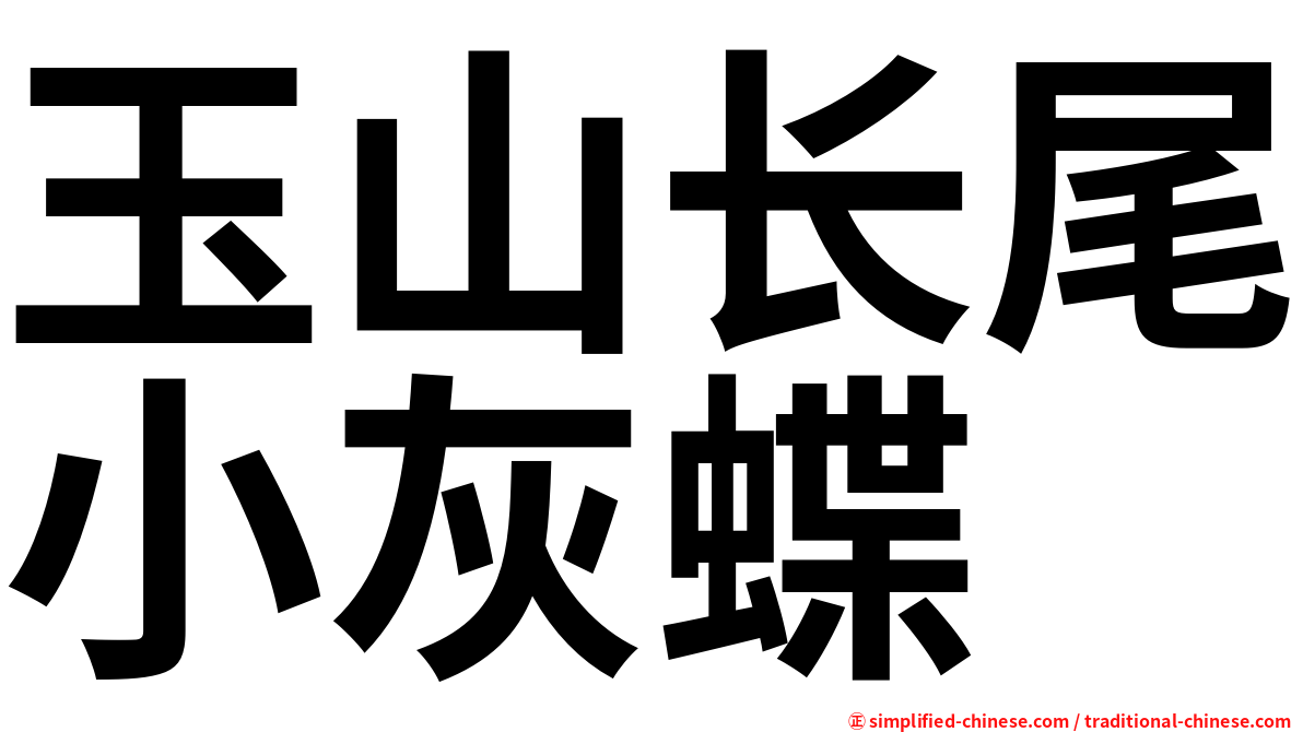玉山长尾小灰蝶