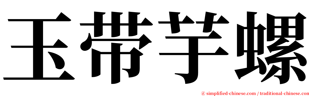 玉带芋螺 serif font
