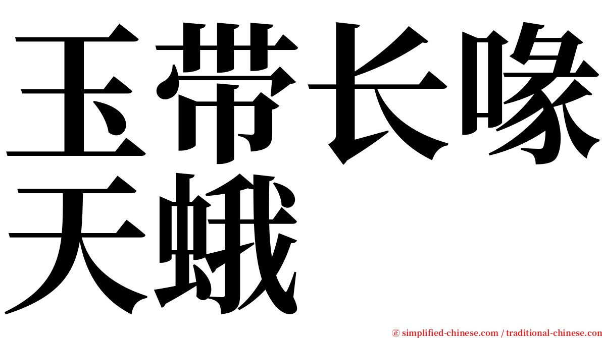 玉带长喙天蛾 serif font