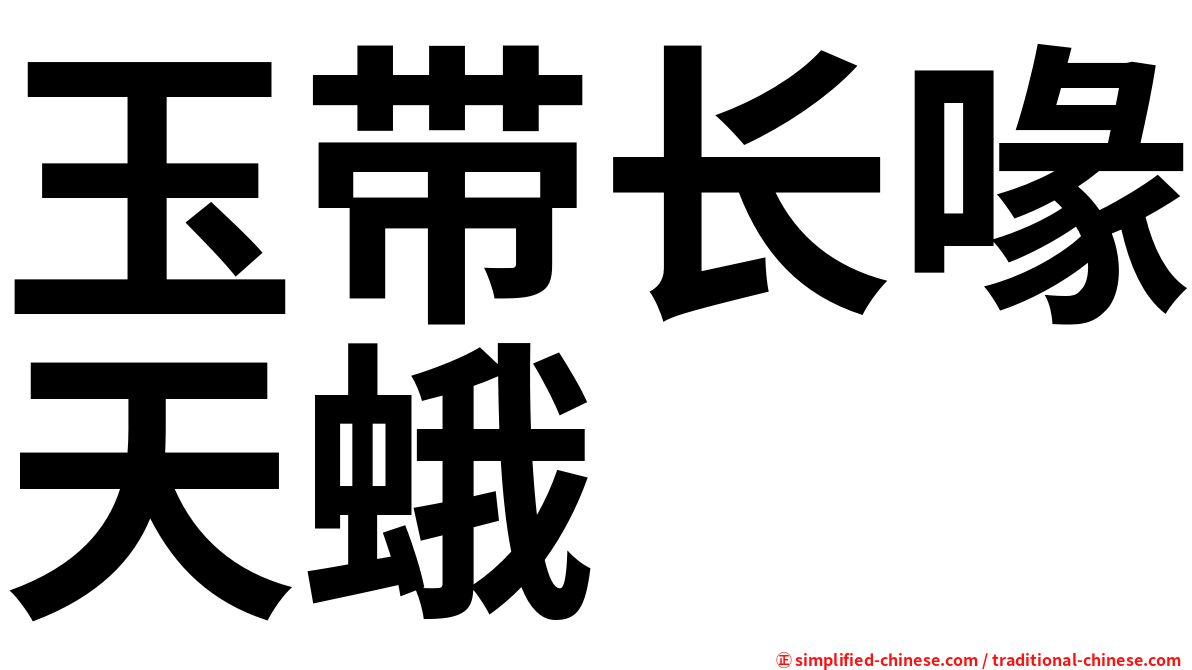 玉带长喙天蛾