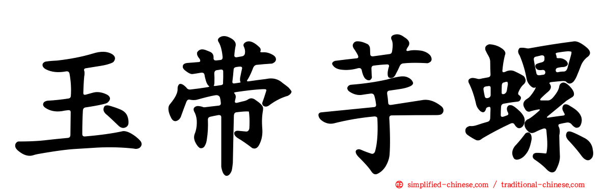 玉带芋螺