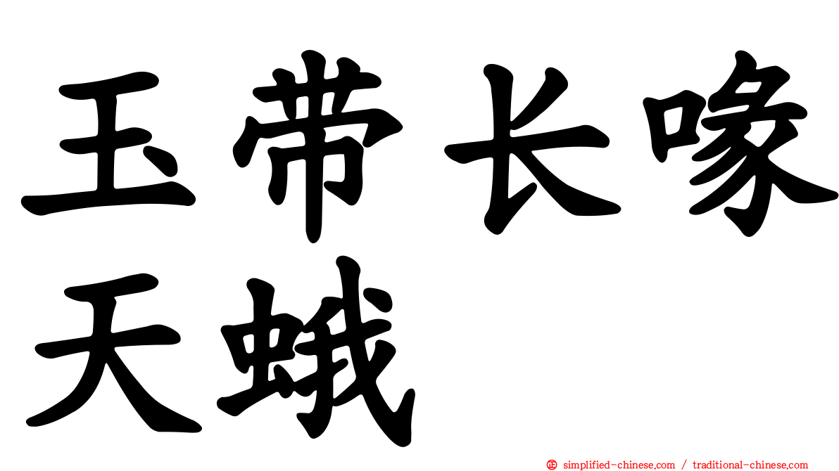 玉带长喙天蛾
