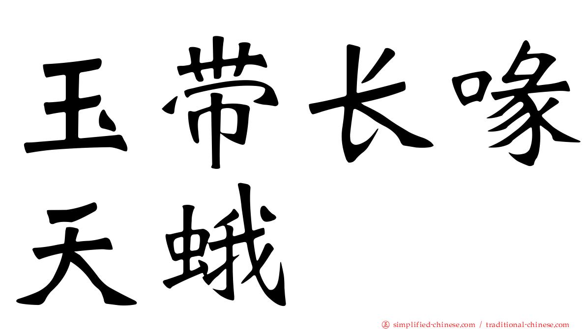 玉带长喙天蛾