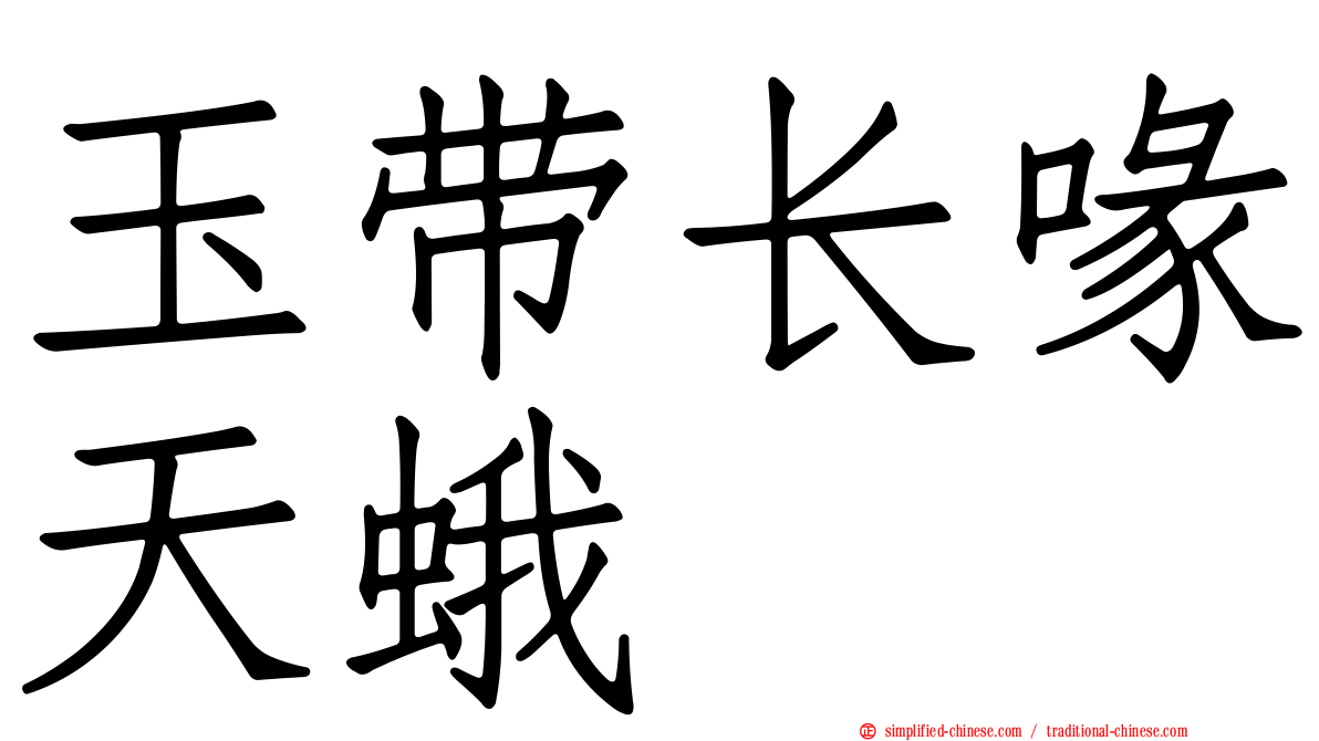 玉带长喙天蛾