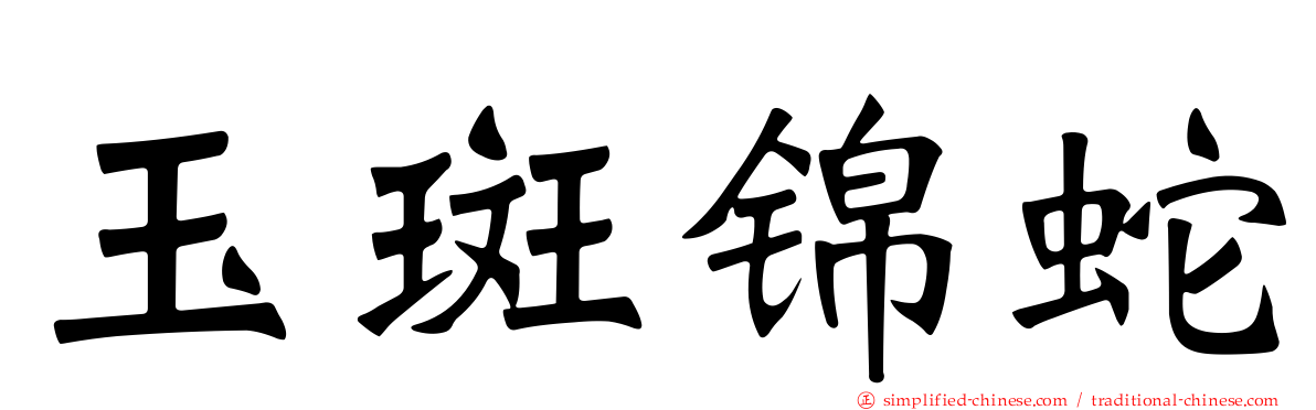 玉斑锦蛇