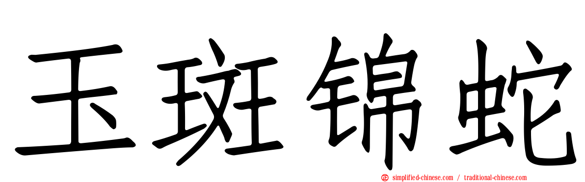 玉斑锦蛇