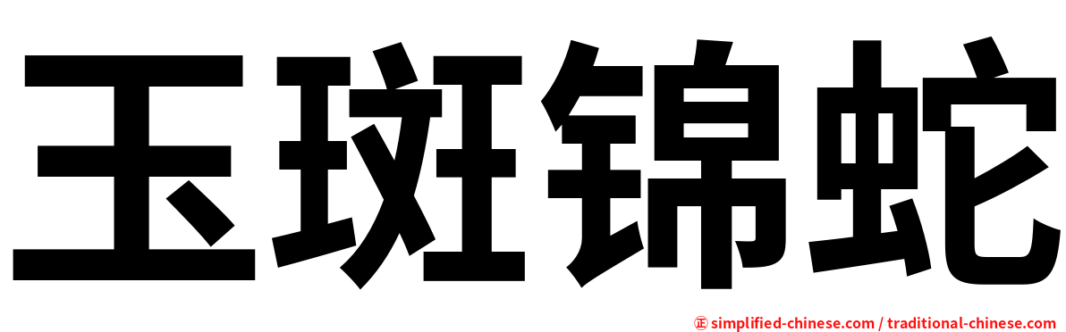 玉斑锦蛇