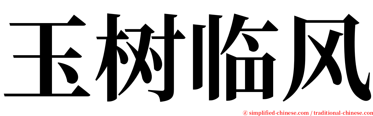 玉树临风 serif font