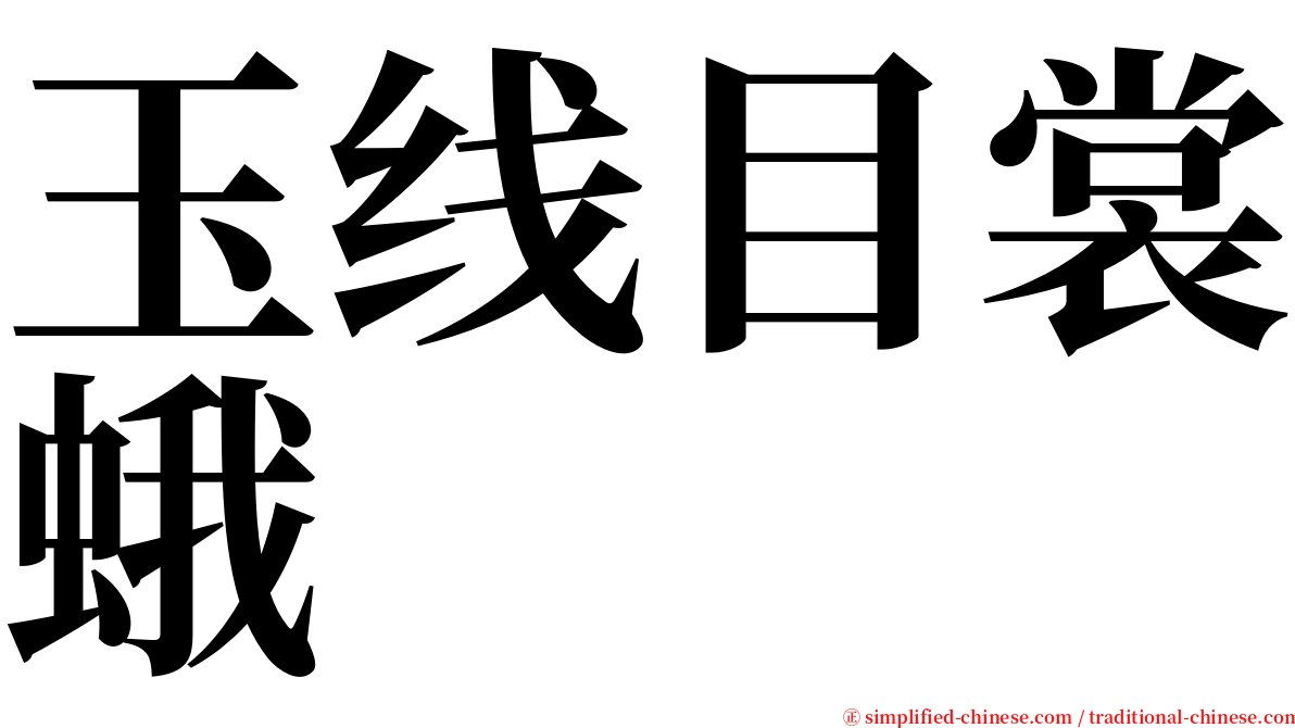 玉线目裳蛾 serif font