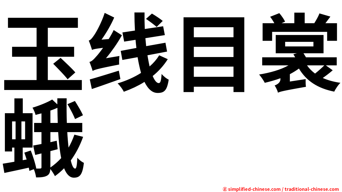 玉线目裳蛾