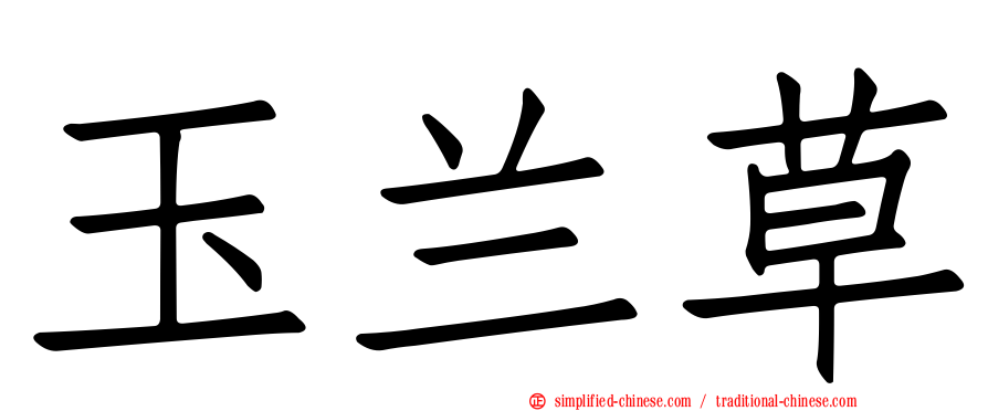 玉兰草