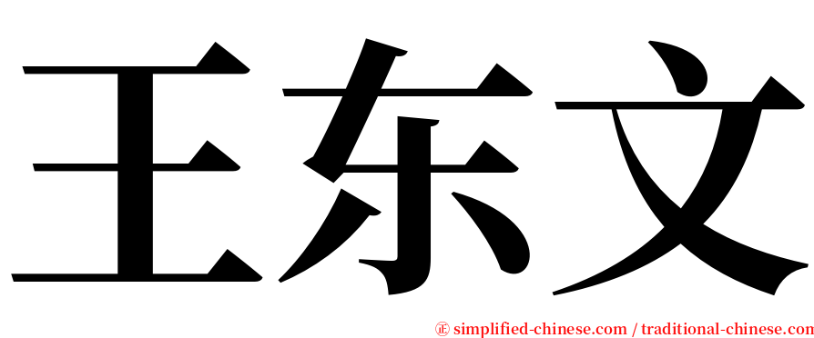 王东文 serif font
