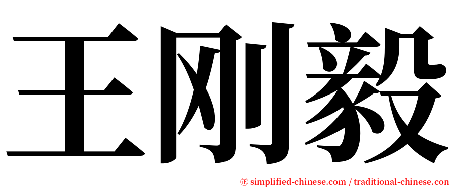 王刚毅 serif font