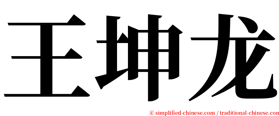 王坤龙 serif font