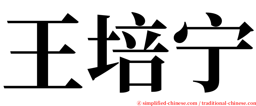 王培宁 serif font