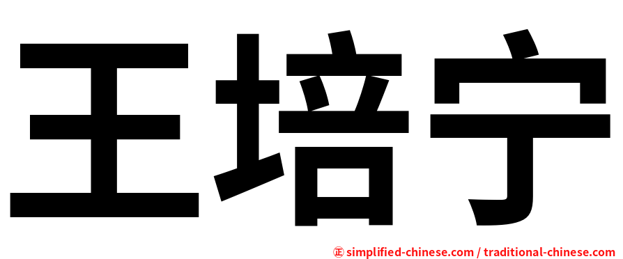 王培宁