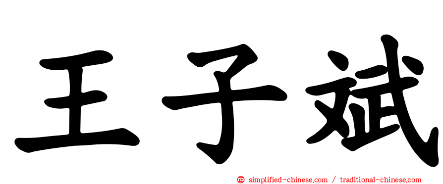 王子斌