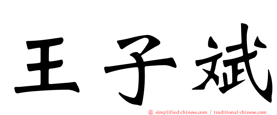 王子斌