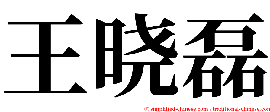 王晓磊 serif font