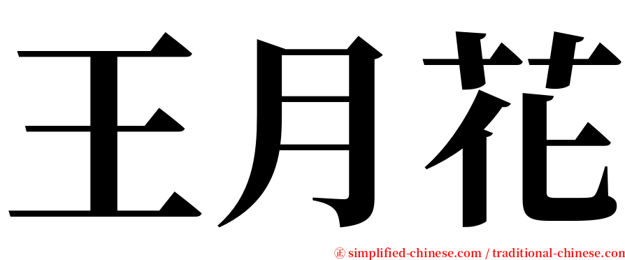 王月花 serif font