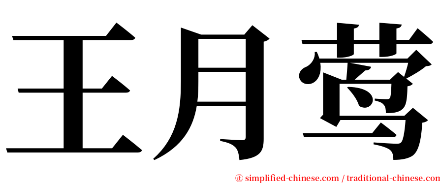 王月莺 serif font