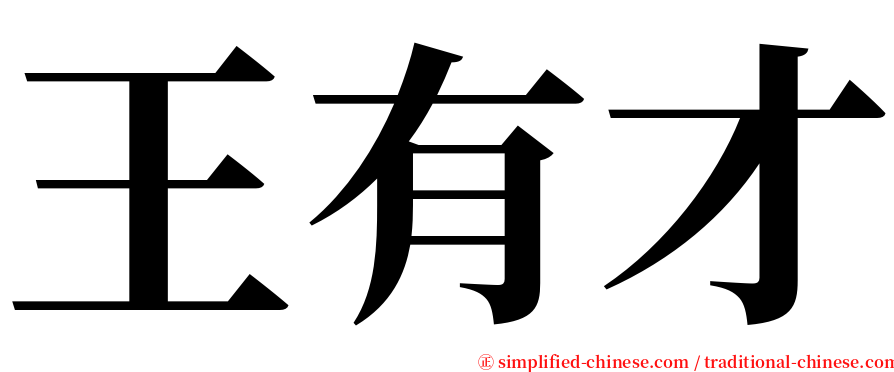 王有才 serif font