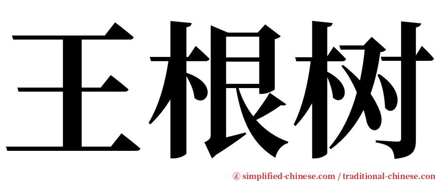 王根树 serif font