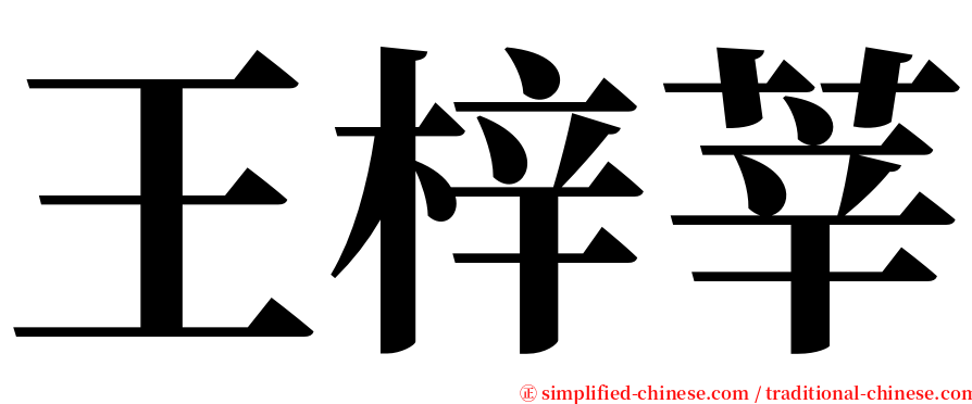 王梓莘 serif font