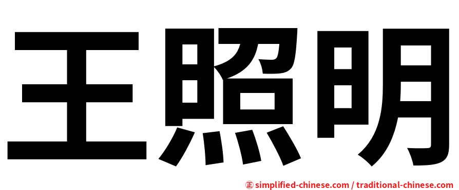 王照明