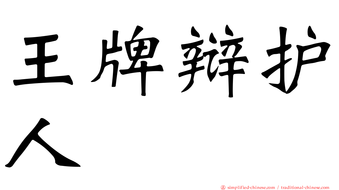 王牌辩护人