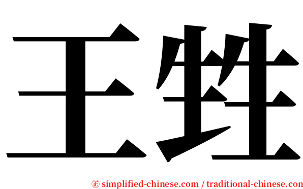 王甡 serif font