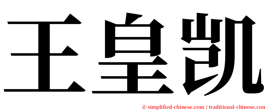 王皇凯 serif font