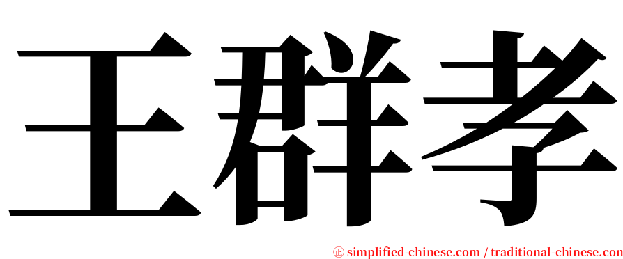 王群孝 serif font