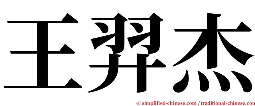 王羿杰 serif font