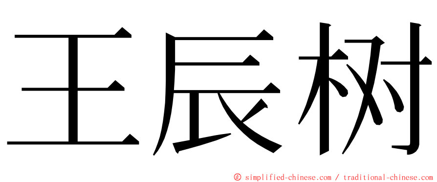 王辰树 ming font