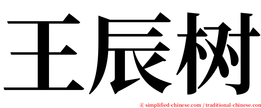 王辰树 serif font