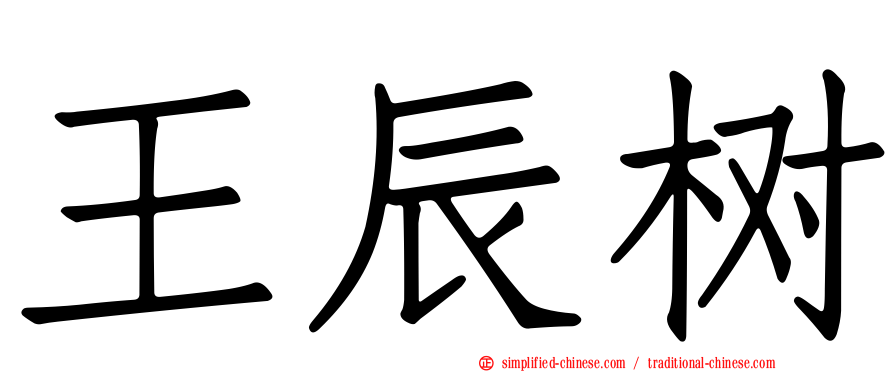 王辰树