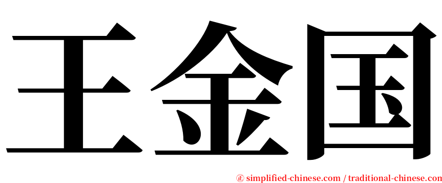 王金国 serif font