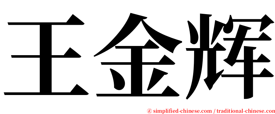 王金辉 serif font