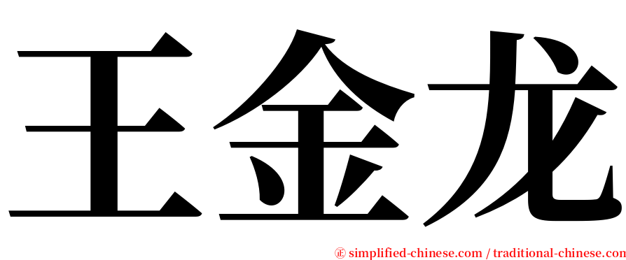 王金龙 serif font