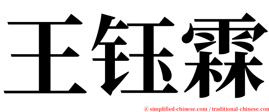 王钰霖 serif font