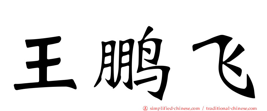 王鹏飞