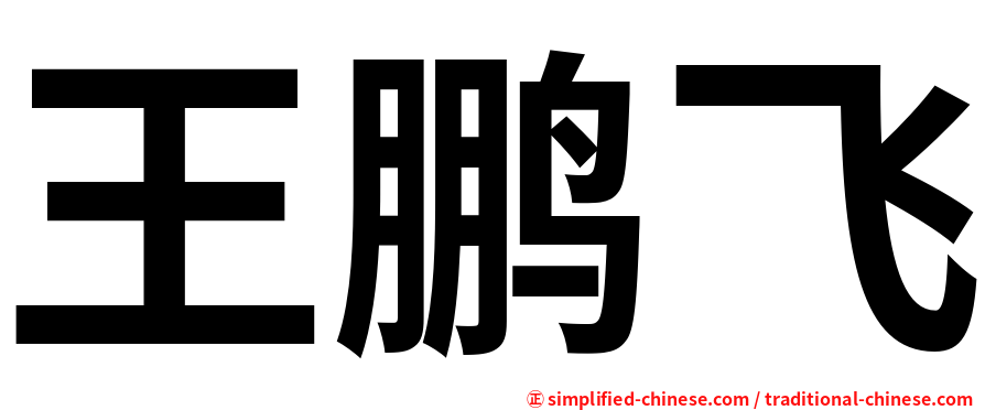 王鹏飞